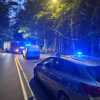 Śmiertelny wypadek w Sopocie. Pojazd dachował i uderzył w drzewo