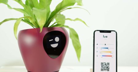 Lua: urządzenie, które zamieni Twoją roślinę w zwierzątko Tamagotchi