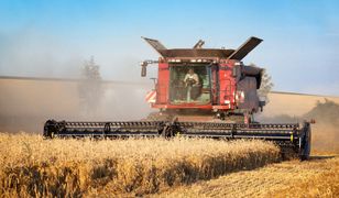 Mandat za skarżenie się na kombajn? Policja zabiera głos ws. doniesień