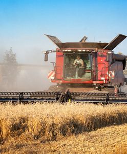 Mandat za skarżenie się na kombajn? Policja zabiera głos ws. doniesień