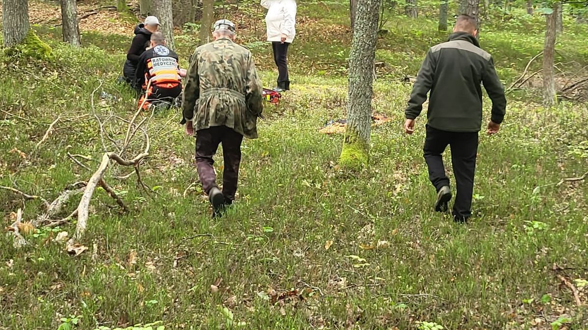 Grzybiarze zablokowali dojazd karetce