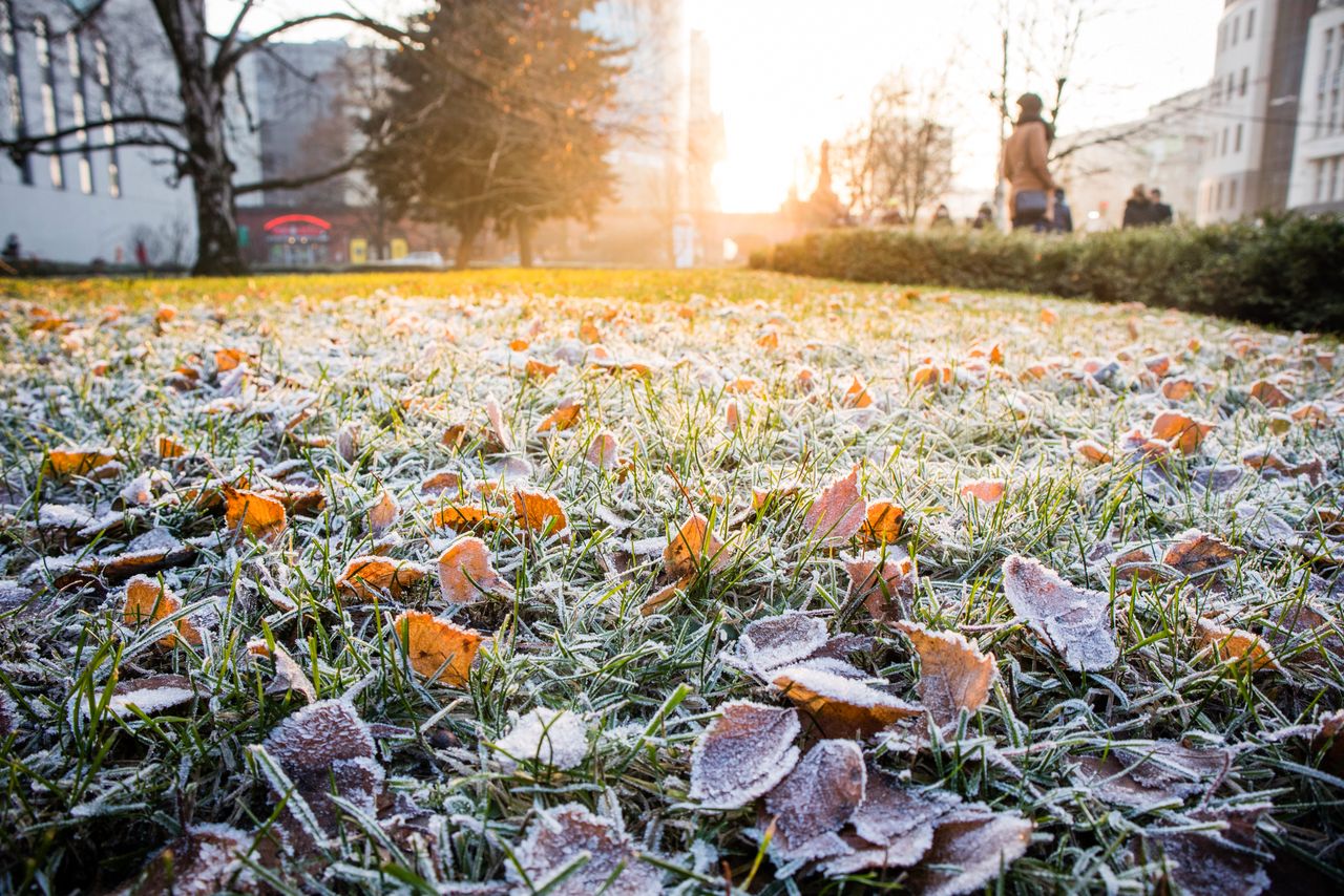 15 mm, 1/60 s, f/6.3, ISO 200 / zdjęcie obrobione