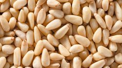 Cenne nasiona sosny. Wystarczy łyżka dziennie, by skorzystał mózg