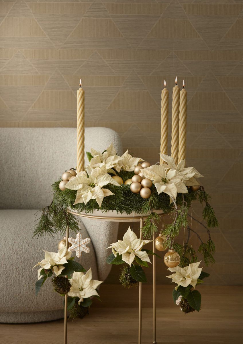 2024_Poinsettia_01000_Golden_Elegance_09
