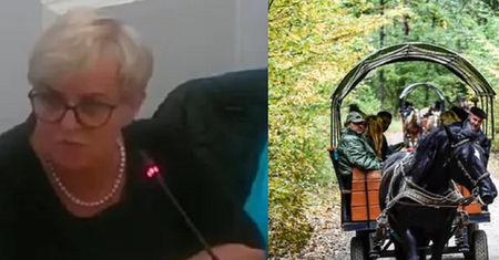 Awantura wokół Kluzik-Rostkowskiej. Posłanka się tłumaczy