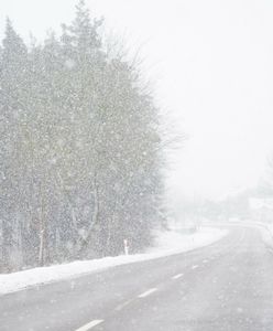 Ostrzeżenia II stopnia. Fala mrozu i śnieżyc