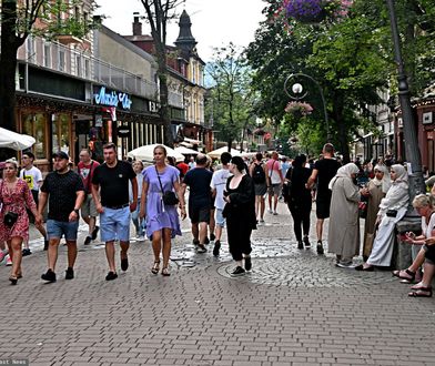 "Grzebią w śmieciach, nie boją się niczego". Problem w Zakopanem