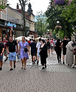 "Grzebią w śmieciach, nie boją się niczego". Problem w Zakopanem