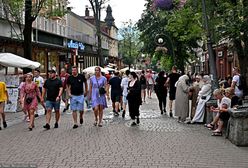 "Grzebią w śmieciach, nie boją się niczego". Problem w Zakopanem