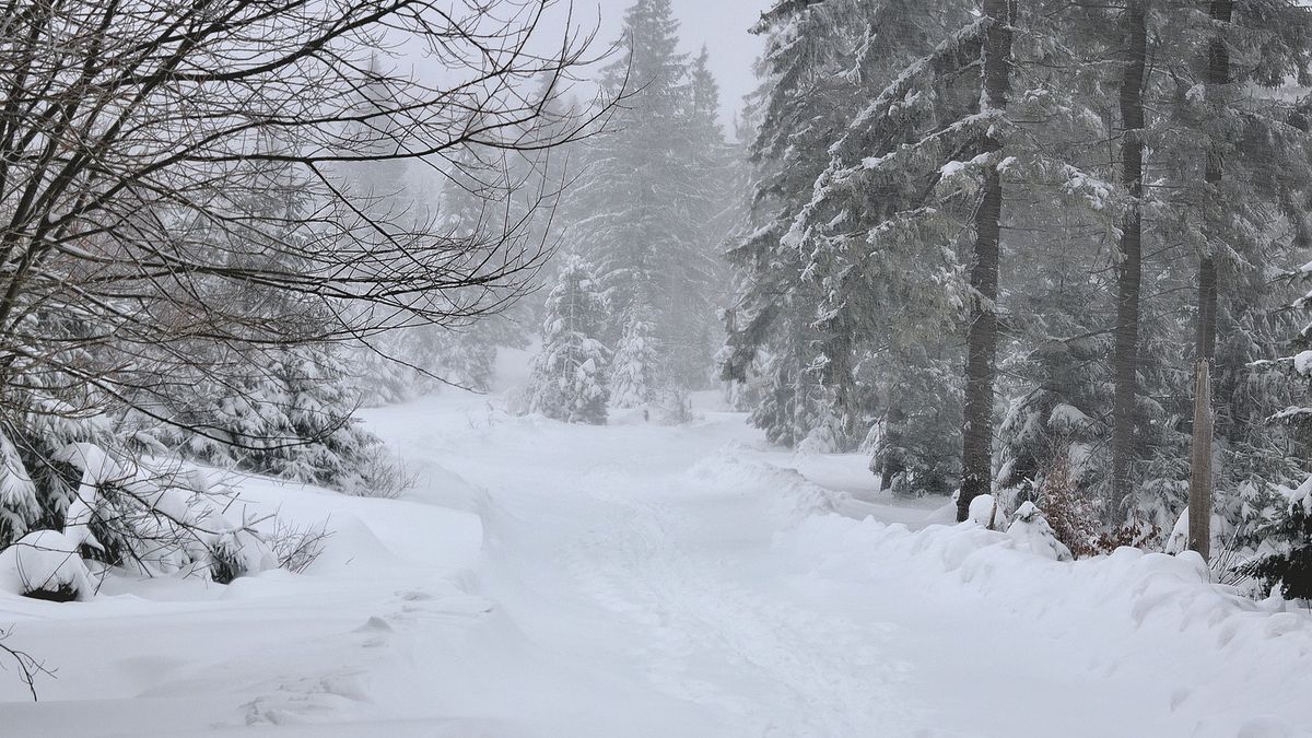 Zdjęcie ilustracyjne 