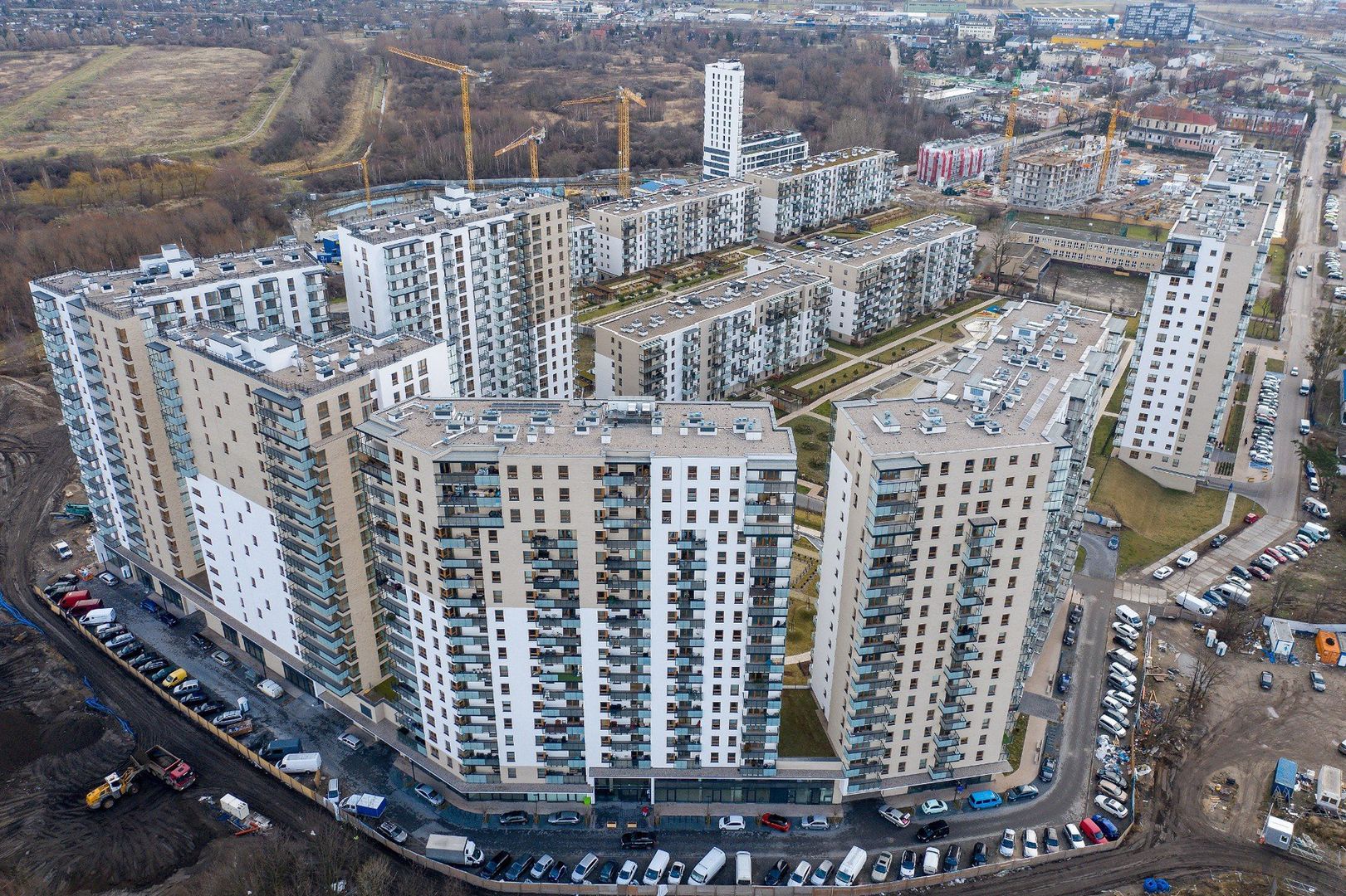 Psy nie mogą jeździć windą
