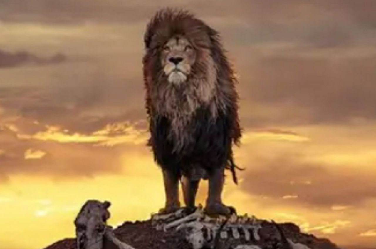 To nie fotomontaż. Porażająca fotografia z Afryki