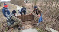 Odkrycie pod Krasnymstawem. Żydowskie nagrobki służyły jako chodnik