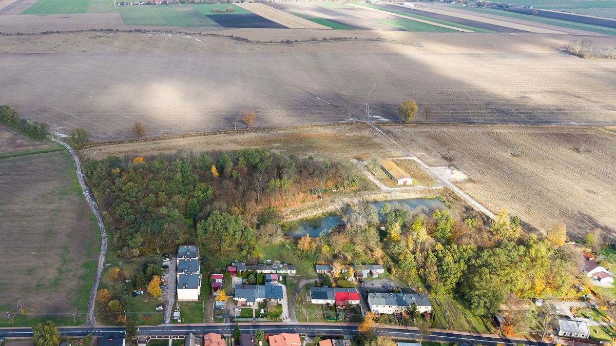 Zabłotnia, 29.10.2025. Na zdjęciu z drona teren przez który ma przebiegać linia kolei dużej prędkości z Warszawy do CPK, 29 bm. w miejscowości Zabłotnia. W 2023 r. - niedługo przed oddaniem władzy przez PiS - Ministerstwo Rolnictwa wydało zgodę na sprzedaż należącej do Krajowego Ośrodka Wsparcia Rolnictwa (KOWR) działki wiceprezesowi prywatnej firmy Dawtona. Sprzedaż działki o powierzchni 160 ha, która miała być przeznaczona pod inwestycję CPK, ma być precyzyjnie wyjaśniona. Spółka CPK złożyła zawiadomienie do prokuratury w tej sprawie w lipcu. (sko) PAP/Leszek Szymański