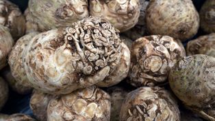 Doskonałe dla jelit i serca. Niedoceniane źródło błonnika i potasu