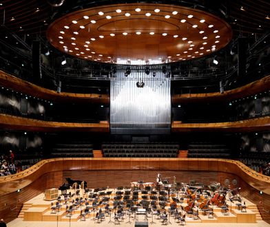 Nowe organy NOSPR składają się z miliona części. Są jednymi z największych w Europie