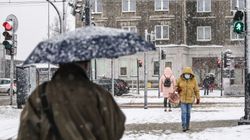 Czy można stosować leki na grypę przy COVID? Prof. Pyrć: To jedna z największych pomyłek (WIDEO)