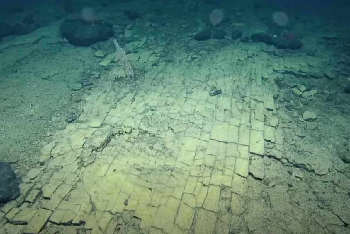 Niezwykłe odkrycie na dnie Oceany Spokojnego 