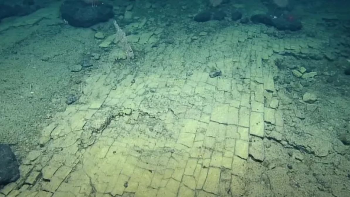 Niezwykłe odkrycie na dnie Oceany Spokojnego 