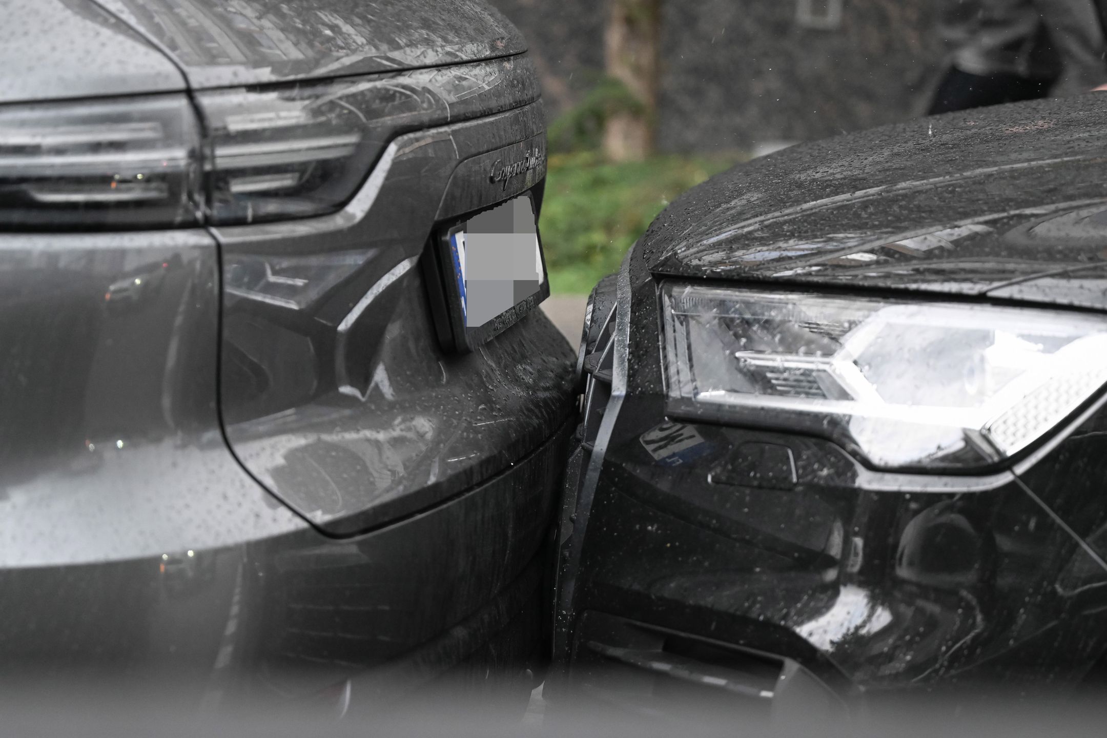 Małgorzata Kożuchowska