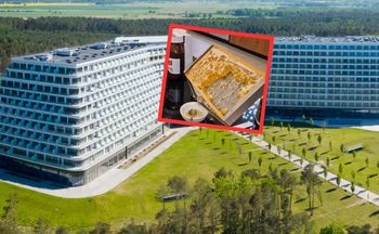 Zeszła na śniadanie w Hotelu Gołębiewski. Oto co zastała