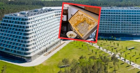 Zeszła na śniadanie w Hotelu Gołębiewski. Oto co zastała