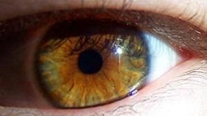 System eye trackingu w wydaniu niemieckim 1