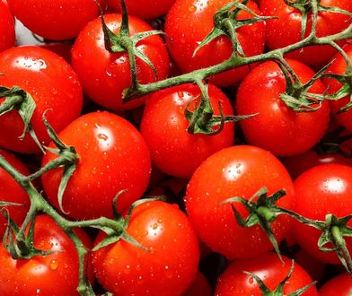 Spór o nazwę pomidorów. "Malinowy król" podzielił artystów i producentów