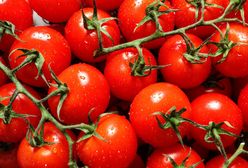 Spór o nazwę pomidorów. "Malinowy król" podzielił artystów i producentów