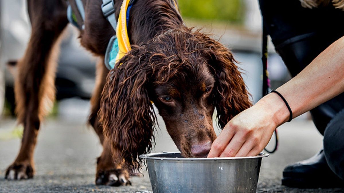 Spółdzielnia zakazuje wody dla zwierząt