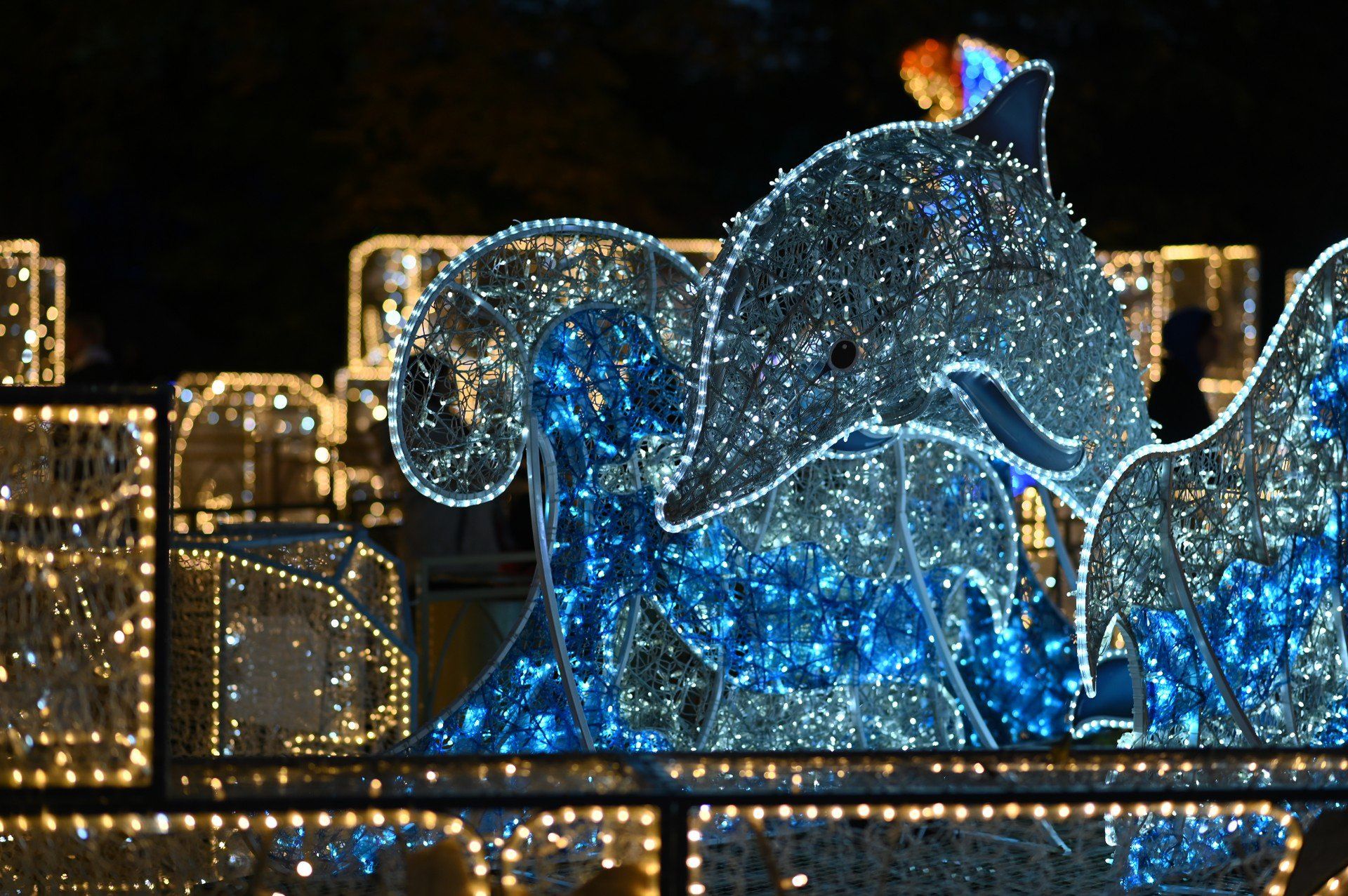 Królewski Ogród Świateł w Wilanowie w 2024.