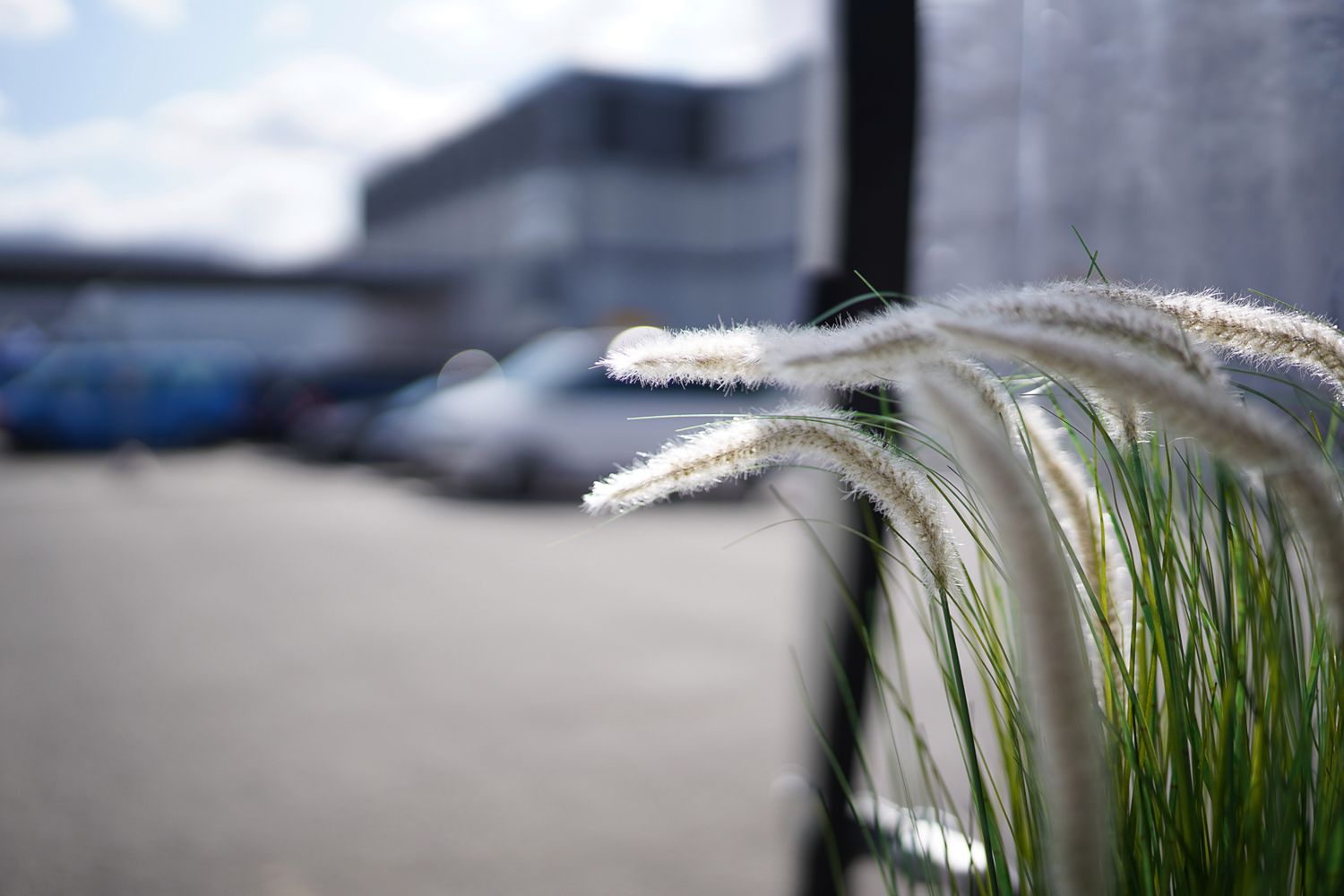 Sigma 35 mm f/1.2 DG DN Art - pierwsze wrażenia i zdjęcia przykładowe 19