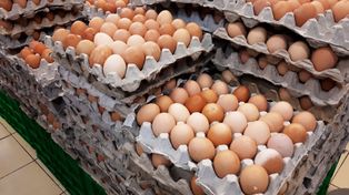 Skontrolowano jakość jajek. Inspekcja musiała nałożyć kary