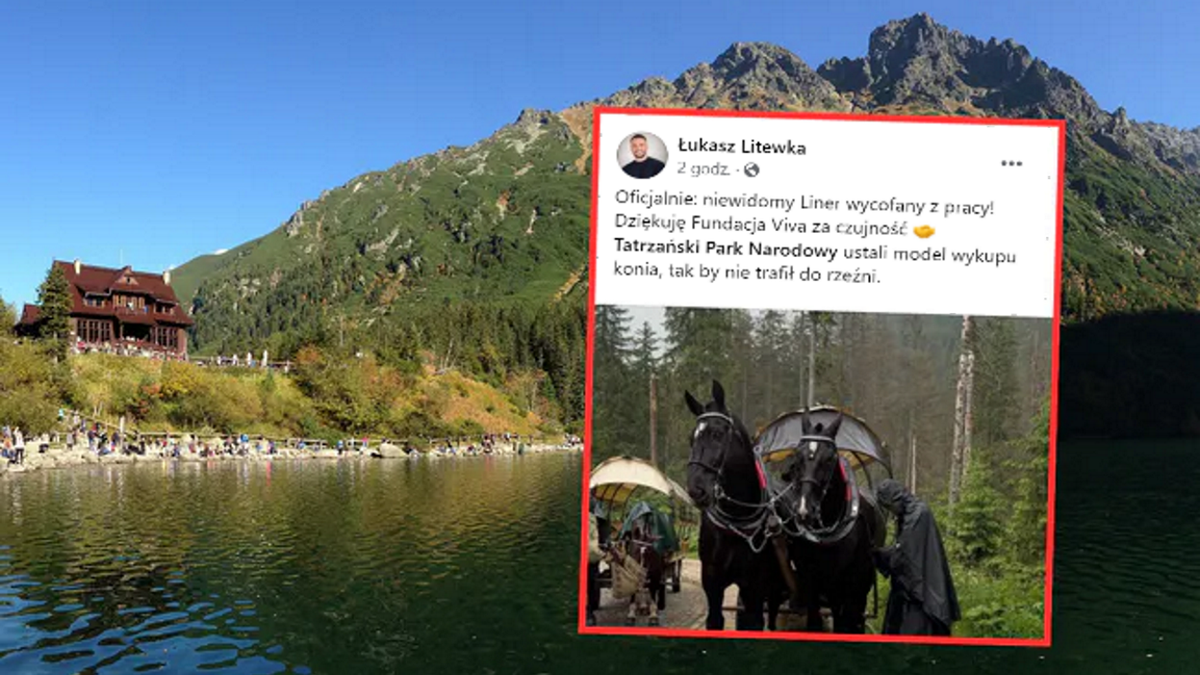 Niewidomy koń nie będzie już pracować na trasie do Morskiego Oka