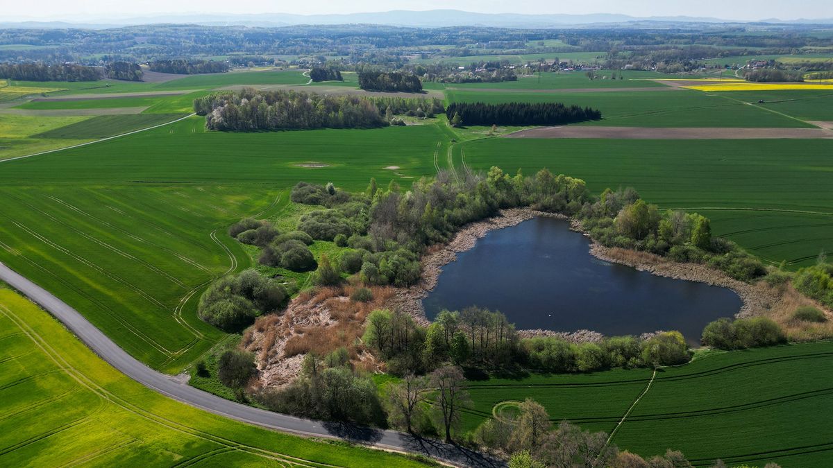 Przepiękne jezioro w kształcie serca na Dolnym Śląsku.