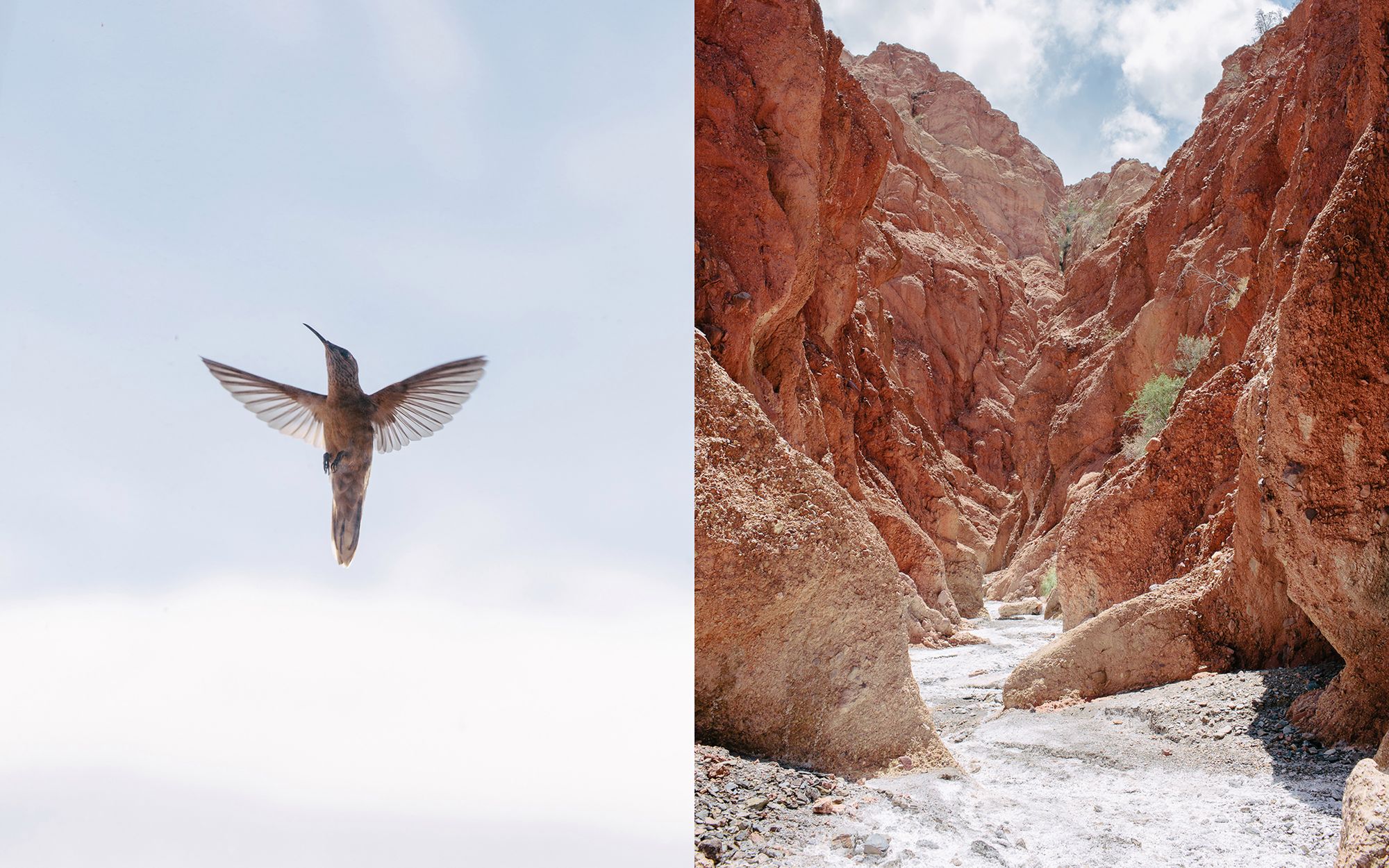 Boliwia, Argentyna i Peru - fotograficzna zima Kevina Faingnaerta 6