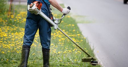 Wybieramy podkaszarkę. Modele do małych i dużych ogrodów
