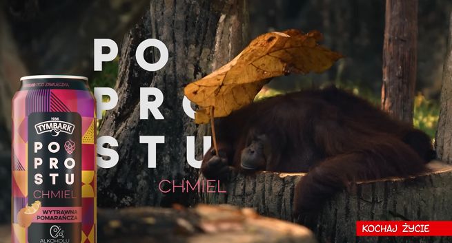 Santander Bank Polska, Grupa Maspex oraz Mowi Poland wyróżnione przez BR TVP