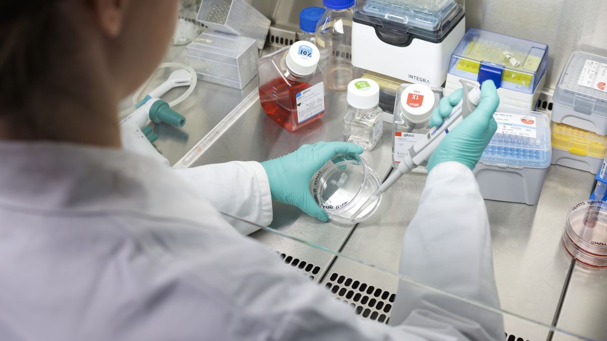 MUNICH, GERMANY - FEBRUARY 06: An employee of Tubulis GmbH, a biotechnology start-up in the life sciences sector,  at work in the laboratory on February 06, 2026 in Munich, Germany. (Photo Illustration by Thomas Imo/Photothek via Getty Images
