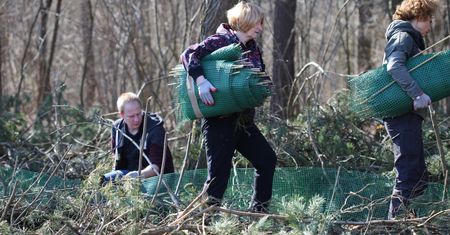 Na ratunek płazom - założyli zapory w trosce o płazy na trasie Brwilno-Wyszyna