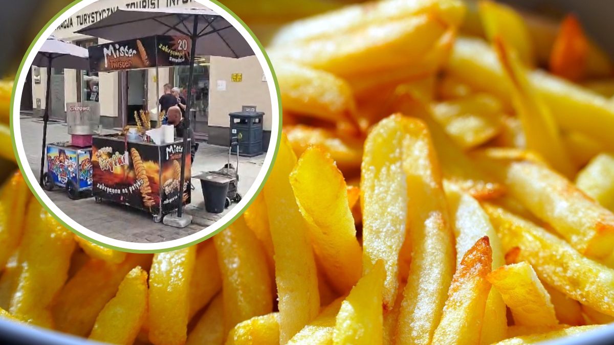 Urzędnicy walczą z Panem Frytką z Torunia