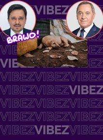 RPO: nie zabraniajcie interwencyjnego odbierania zwierząt