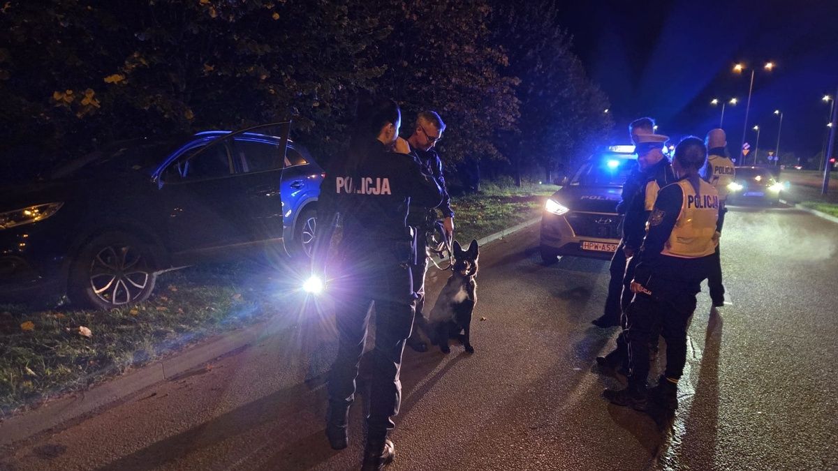 policja