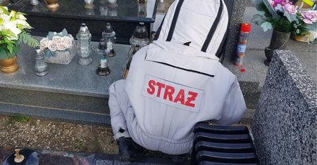 Robią gniazda w zniczach. "Unikaj zbliżania się". Alarm na cmentarzu