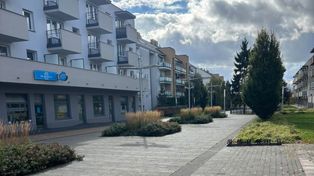 Więcej zieleni, mniej betonu. Kolejne zmiany na płockich Podolszycach Południe