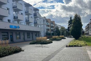 Więcej zieleni, mniej betonu. Kolejne zmiany na płockich Podolszycach Południe