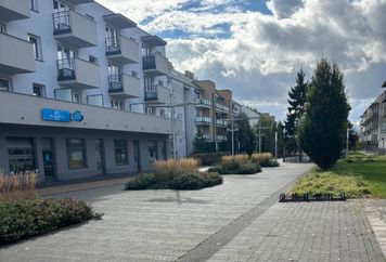 Więcej zieleni, mniej betonu. Kolejne zmiany na płockich Podolszycach Południe