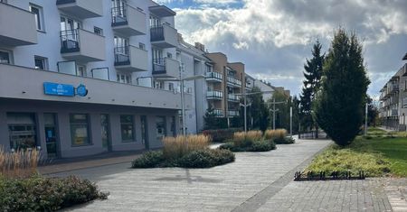 Więcej zieleni, mniej betonu. Kolejne zmiany na płockich Podolszycach Południe