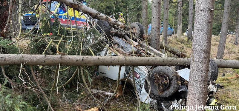 Ściął dwa świerki, auto dachowało