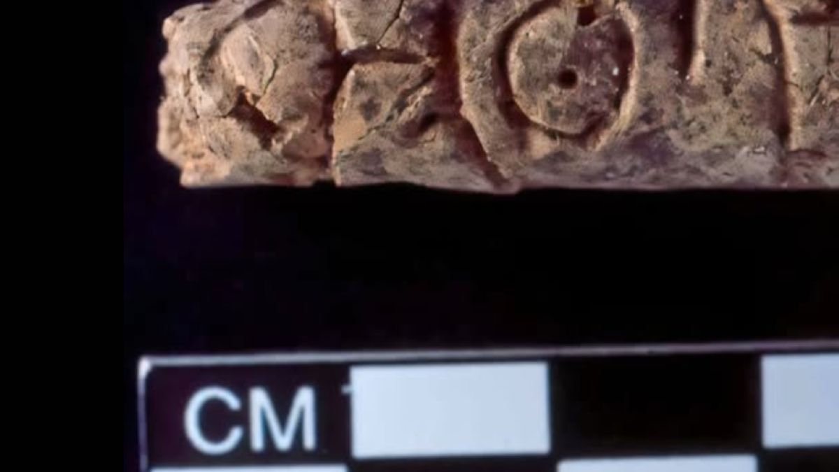 Dzięki temu odkryciu historia alfabetu pisze się na nowo.